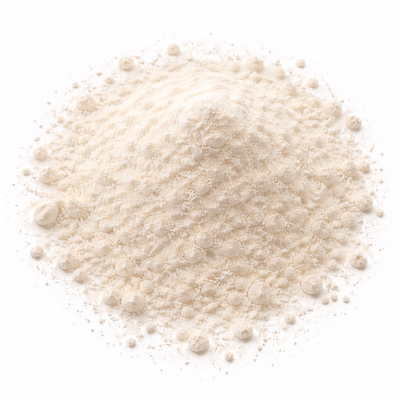 Cichorium intybus Root